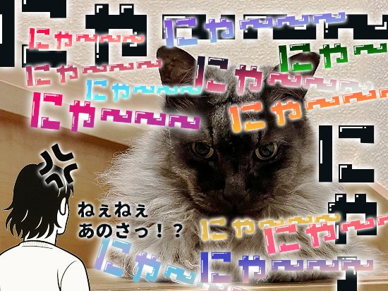 静かにってできるかな？